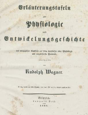 Bild Nr.1: 139-1506 Wagner,R.: (Medizin, Anatomie)
