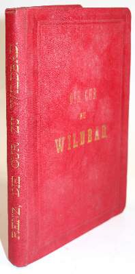 Bild Nr.3: 139-1510 Renz,W.T.: (Medizin, Balneologie, Bad Wildbad)