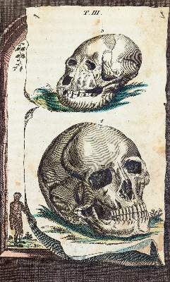 Bild Nr.2: 139-1590 Wilhelm,G.T.: (Medizin)