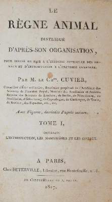 Bild Nr.1: 139-1595 Cuvier,(G.).: (Zoologie)