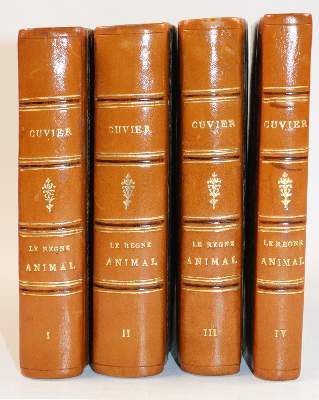 Bild Nr.4: 139-1595 Cuvier,(G.).: (Zoologie)