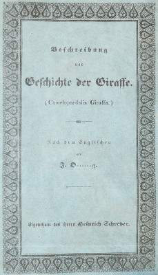 Bild Nr.1: 139-1602 Giraffe.: (Zoologie)