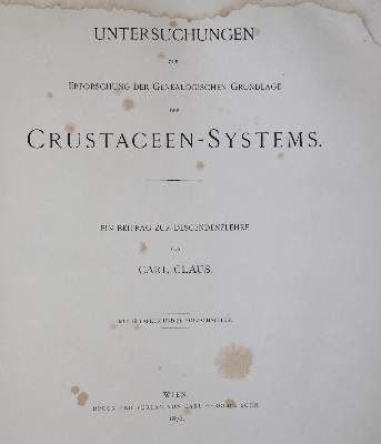 Bild Nr.3: 139-1609 Claus,C.: (Zoologie, Krebse)