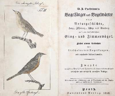 Bild Nr.2: 139-1634 Tscheiner,J.D.: (Zoologie, Vögel)