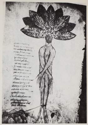 Bild Nr.4: 139-1668 Besler,B.: (Verschiedene Gebiete - Varia)