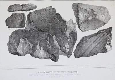Bild Nr.9: 139-1692 Agassiz,L.: (Verschiedene Gebiete - Varia, Geologie - Mineralogie u. Paläontologie, Gletscher)