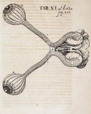 Bild Nr.1: 139-1742 Leibniz,G.W.: (Verschiedene Gebiete - Varia)