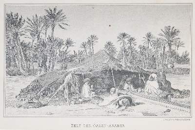 Bild Nr.2: 139-1835 Kobelt,W.: (Afrika)