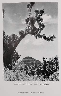 Bild Nr.2: 139-1857 Schultze,L.: (Amerika)