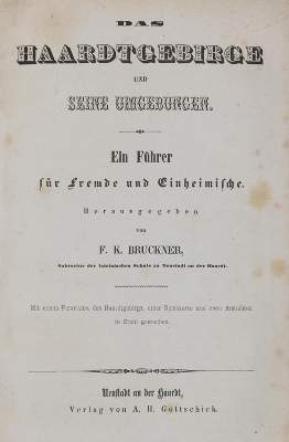 Bild Nr.1: 139-1999 Bruckner,F.K.: (Deutschland, Pfalz)