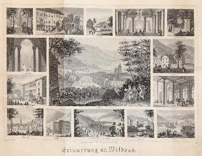 Bild Nr.2: 139-2042 Fricker,J.: (Deutschland, Wildbad)