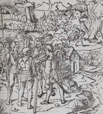 Bild Nr.2: 139-205 Münster,S.: (Alte Drucke, Handschriften und Theologie)