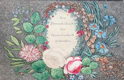 Bild Nr.1: 139-2159 Freundschaftsalbum: (Schweiz, Handschriften, Stammbücher)