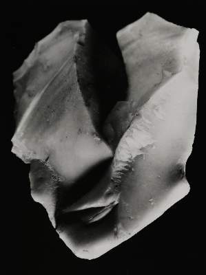 Bild Nr.41: 139-2789 Schad, Christian: (Photographie)