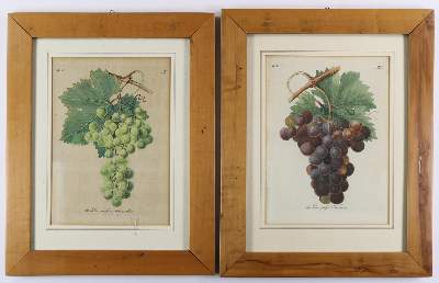 Bild Nr.4: 139-2820 Rosen.: (Varia, Botanik, Redouté)