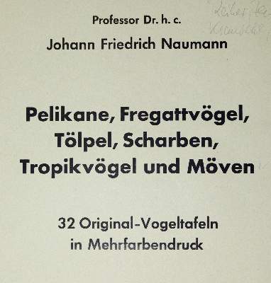 Bild Nr.3: 139-2901 Naumann,J.F.: (Varia, Zoologie)