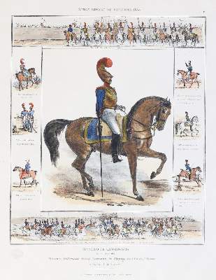 Bild Nr.1: 139-2902 Pferde.: (Varia, Zoologie)