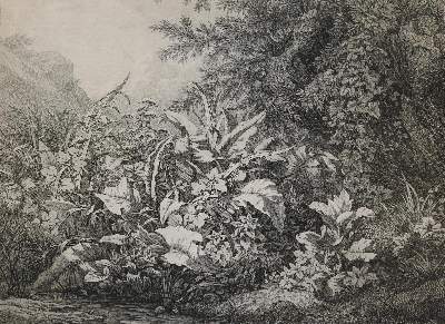 Bild Nr.1: 139-3126 Bléry, Eugène Stanislas Alexandre: (Künstlergraphik)