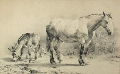 Bild Nr.1: 139-3190 Cooper, Thomas Sidney: (Künstlergraphik)