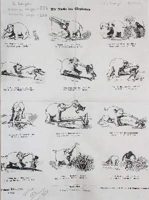 Bild Nr.2: 139-3226 Busch, Wilhelm.: (Künstlergraphik, Druckstöcke)