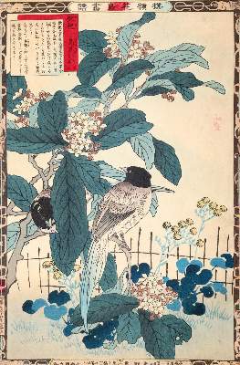 Bild Nr.1: 139-3356 Barei, Kono: (Künstlergraphik, Japan)