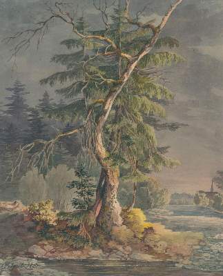 Bild Nr.1: 139-3742 Zelger, Jakob Joseph: (Künstlergraphik)