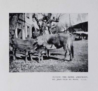 Bild Nr.102: 139-402 Konvolut: (Varia)