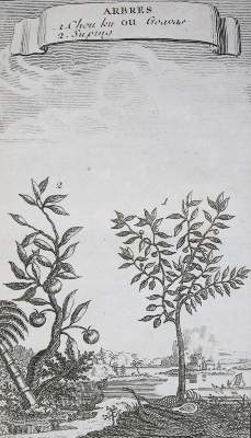 Bild Nr.1: 139-411 Konvolut: (Varia)