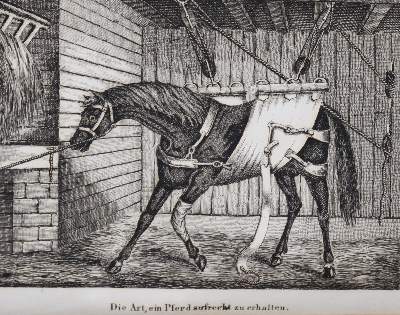 Bild Nr.2: 139-525 Apperley,C.J.: (Sport, Reitsport)