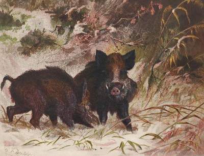 Bild Nr.1: 139-554 Deiker,C.F./Müller,A.u.K.: (Jagd)