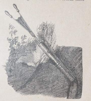 Bild Nr.3: 139-563 Pieper,A.: (Jagd)