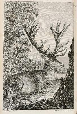 Bild Nr.2: 139-568 Wildungen,L.C.E.H.F.v.: (Jagd)