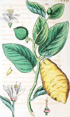 Bild Nr.1: 139-638 Wilhelm,G.T.: (Küche und Haushalt)