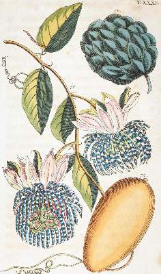 Bild Nr.2: 139-638 Wilhelm,G.T.: (Küche und Haushalt)