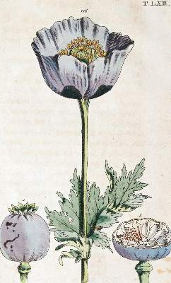 Bild Nr.3: 139-638 Wilhelm,G.T.: (Küche und Haushalt)