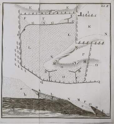 Bild Nr.2: 139-664 Johnstone,J.: (Land- und Forstwirtschaft, Landwirtschaft, Sumpf)