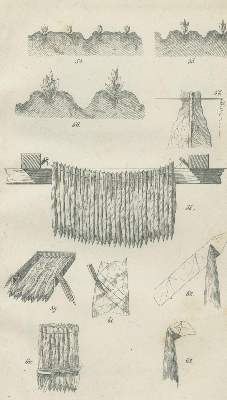 Bild Nr.1: 139-665 Babo, A. v. u. F. Hoffacker.: (Land- und Forstwirtschaft, Landwirtschaft, Tabak)