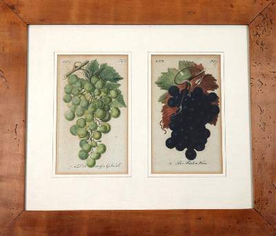 Bild Nr.6: 139-673 Sickler,J.V.: (Land- und Forstwirtschaft, Obstbau)
