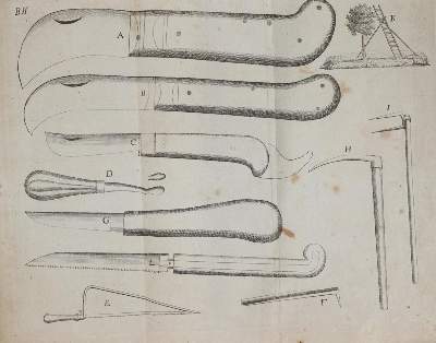 Bild Nr.2: 139-680 Sickler,J.V.: (Land- und Forstwirtschaft, Pomologie)