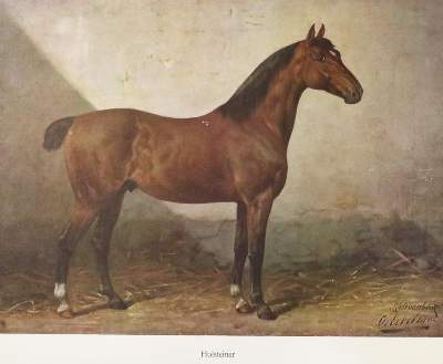 Bild Nr.1: 139-686 Schoenbeck,R.: (Land- und Forstwirtschaft, Tierhaltung, Pferde)