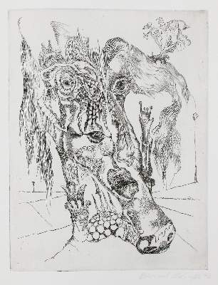 Bild Nr.1: 139-783 Schultze,B.: (Kunstwissenschaft)