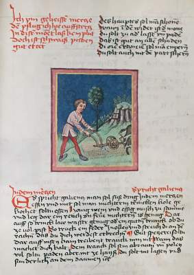 Bild Nr.1: 139-840 Vom Einfluss der Gestirne,: (Faksimile)