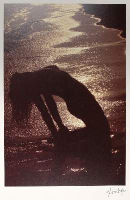 Bild Nr.1: 139-897 Clergue,L.: (Erotika - Galantes)