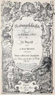 Bild Nr.2: 139-931 Baumann,J.: (Kinder- und Jugendbücher)