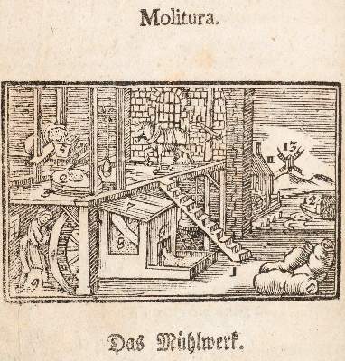Bild Nr.2: 139-966 Comenius,J.A.: (Orbis Pictus)
