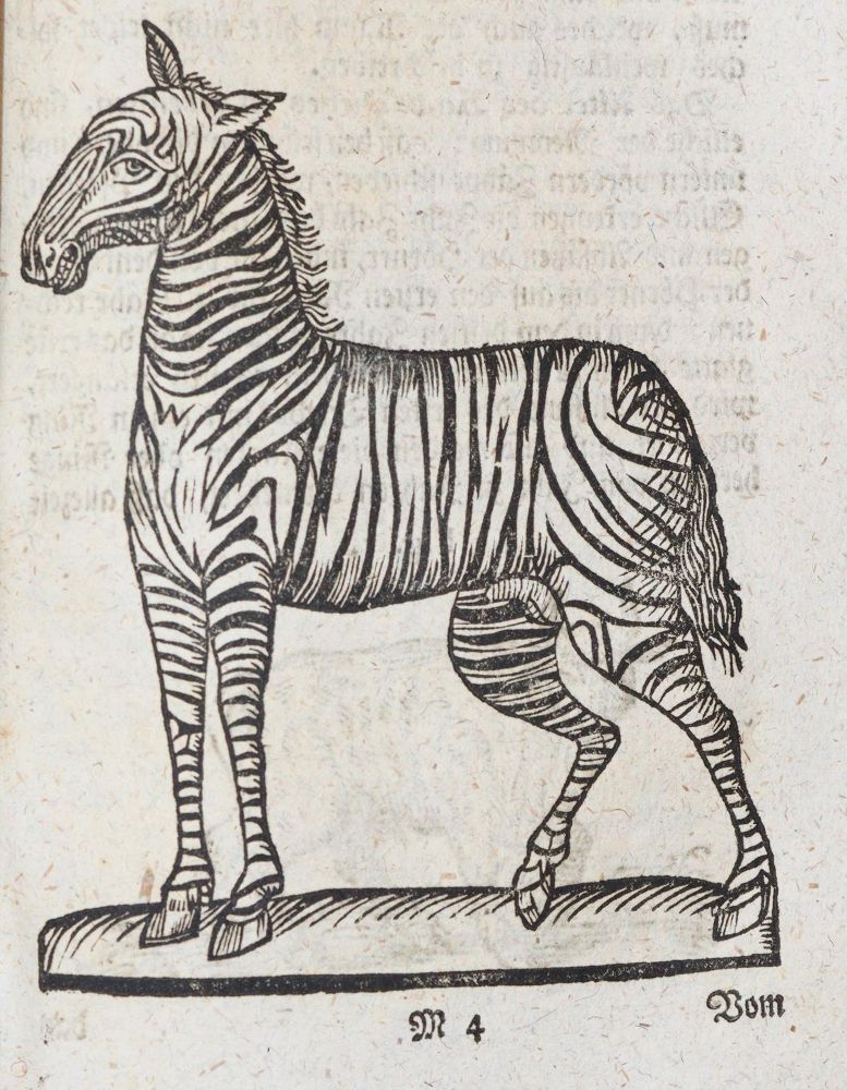 Große Abbildung Nr.2: 140-1035 (Curieuser: (Küche und Haushalt)