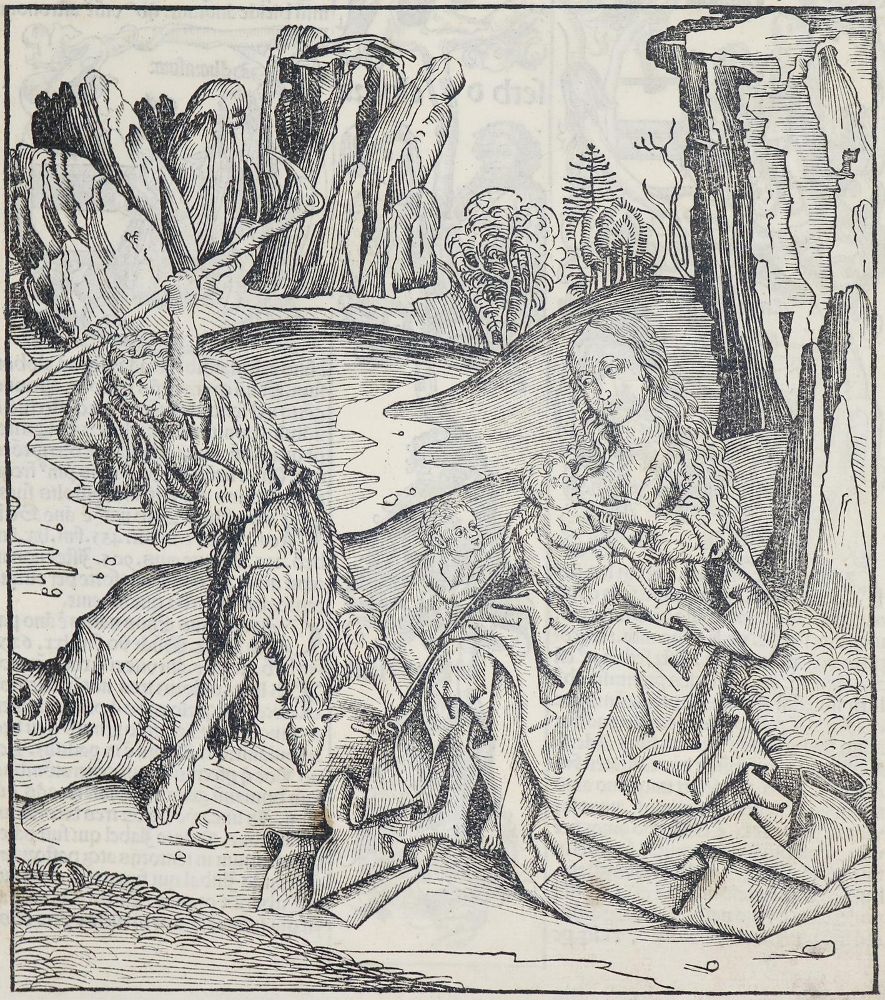 Große Abbildung Nr.2: 140-105 Schedel,H.: (Buchholzschnitte)
