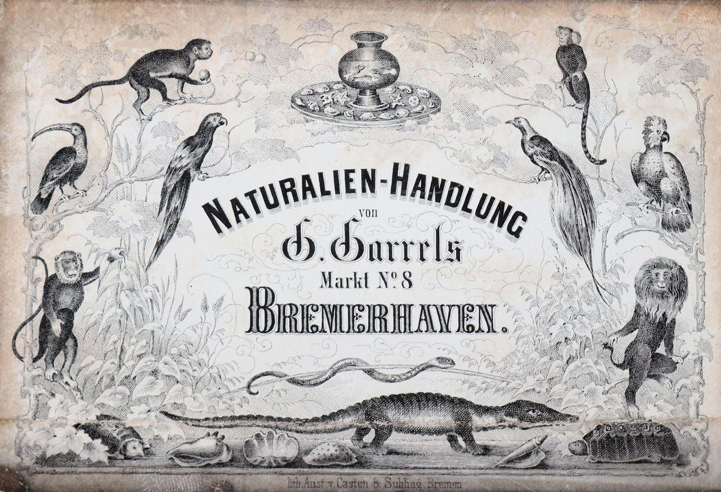 Große Abbildung Nr.8: 140-1058 Menukarten.: (Küche und Haushalt)