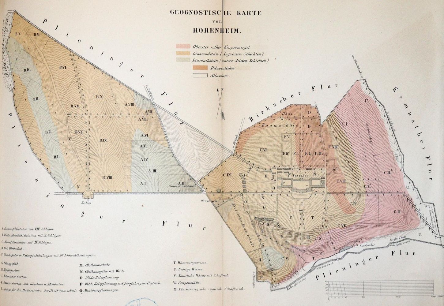 Große Abbildung Nr.1: 140-1071 Beschreibung: (Land- und Forstwirtschaft, Hohenheim)