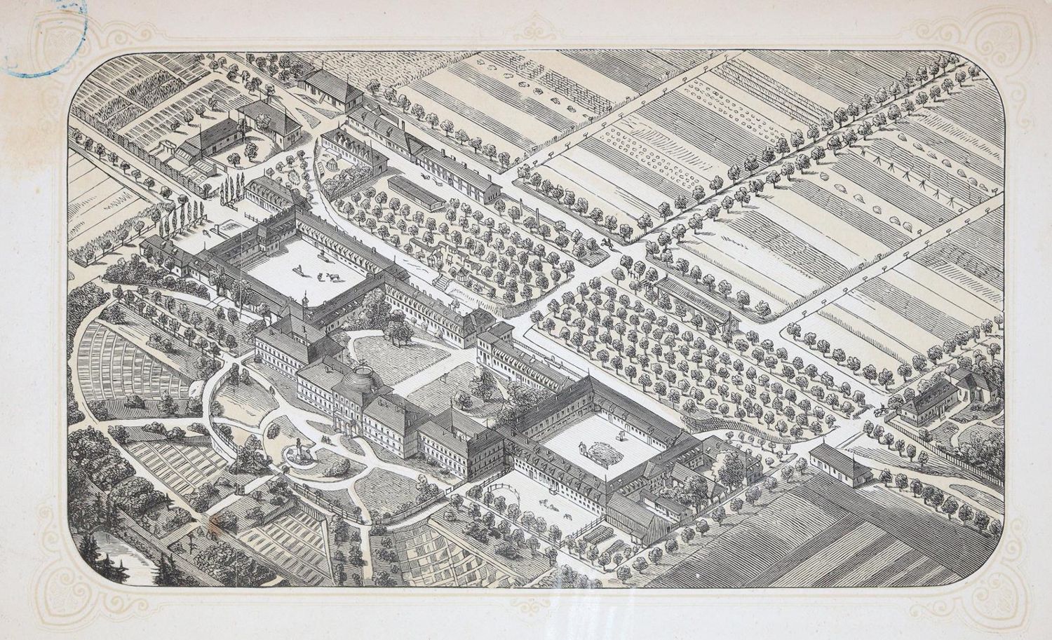 Große Abbildung Nr.2: 140-1071 Beschreibung: (Land- und Forstwirtschaft, Hohenheim)